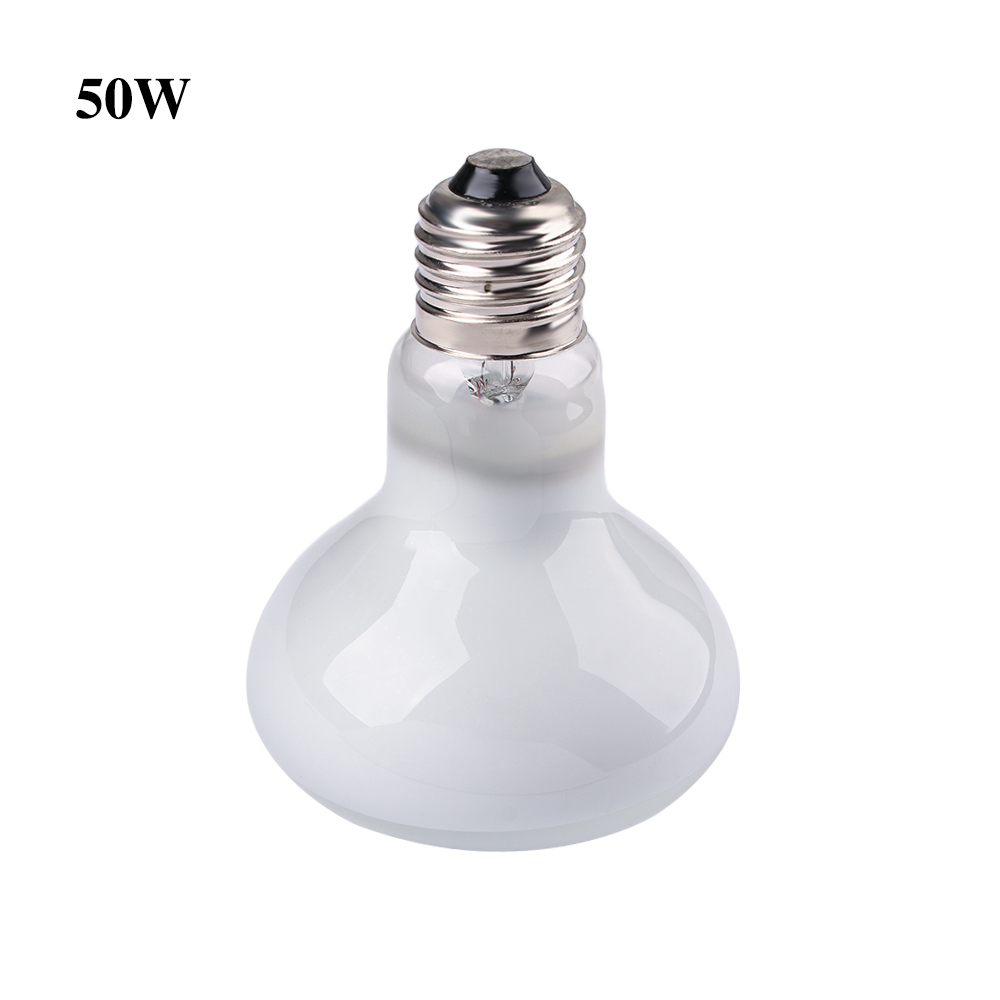 Basking Bulb Halogen - جهاز تحكم في درجة حرارة سخان
