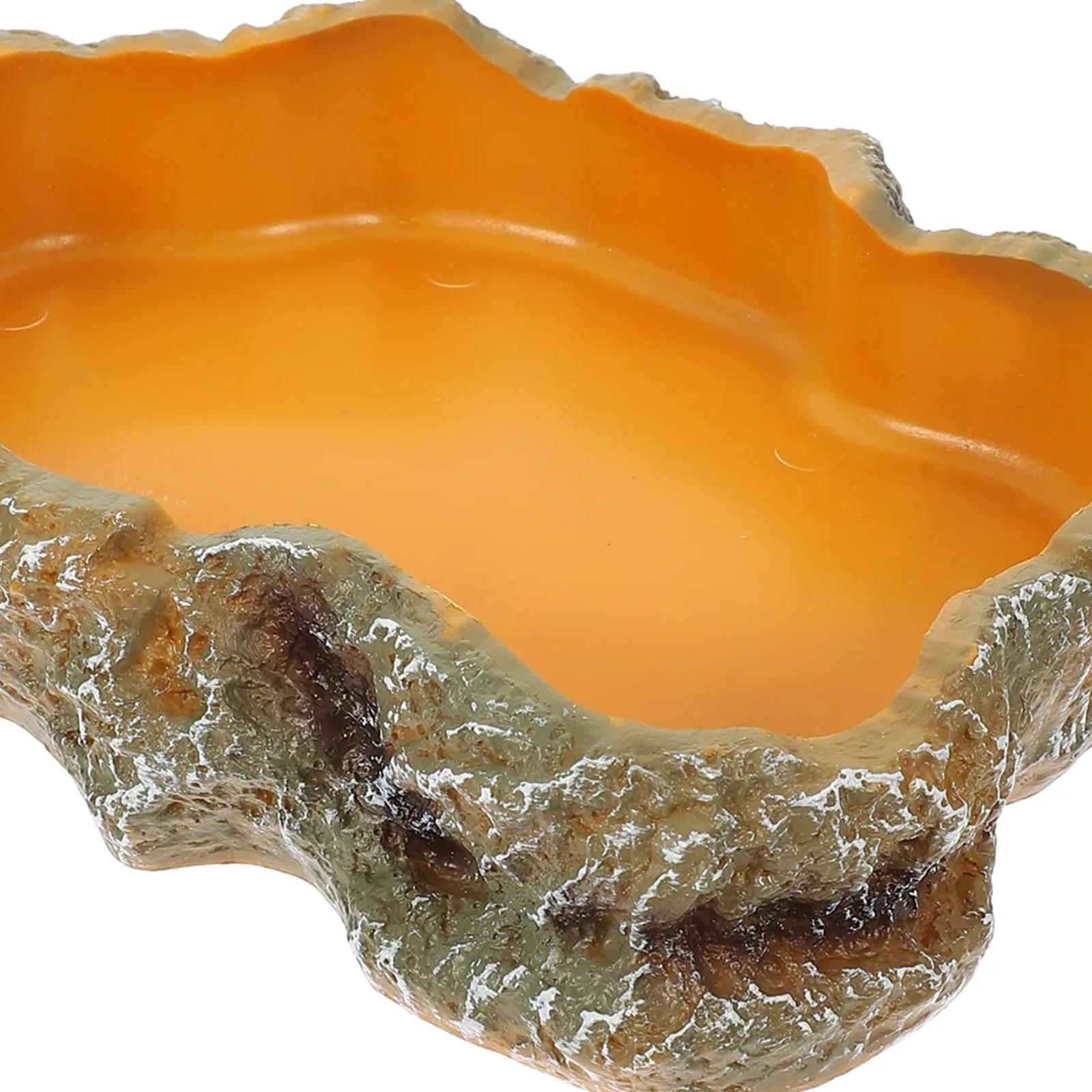 إكسسوارات حوض الزواحف، طبق طعا - مراجعة Water Dish Reptile وسعره