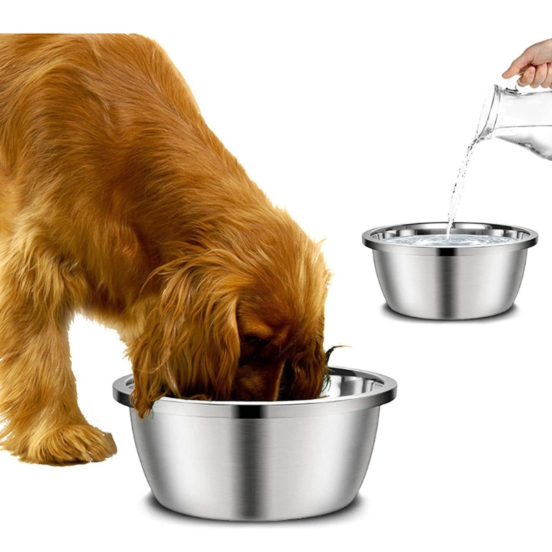 وعاء طعام وماء دائري من الفولا - مراجعة Royal Canin Food Medium وسعره