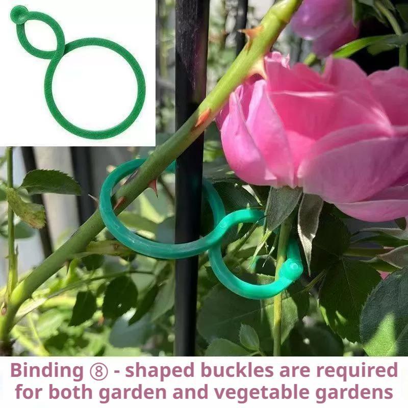 100 قطعة من مشابك دعم النباتات - مراجعة Vine Climbing Plastic وسعره