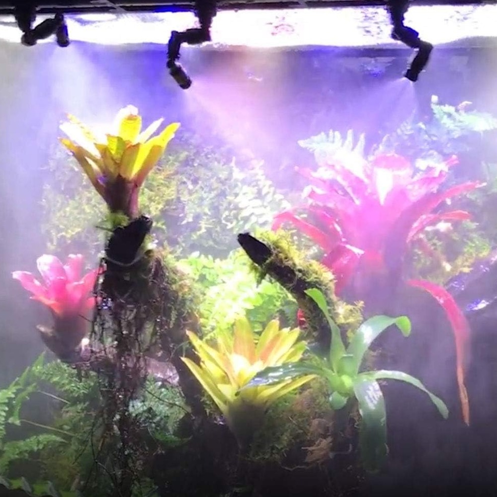 جهاز تبخير للزواحف من نوع PP ب - مراجعة Misting Nozzle Reptile وسعره