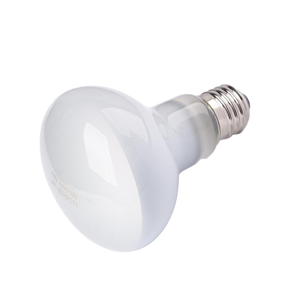 جهاز التحكم في درجة الحرارة لل - مراجعة Basking Bulb Halogen وسعره