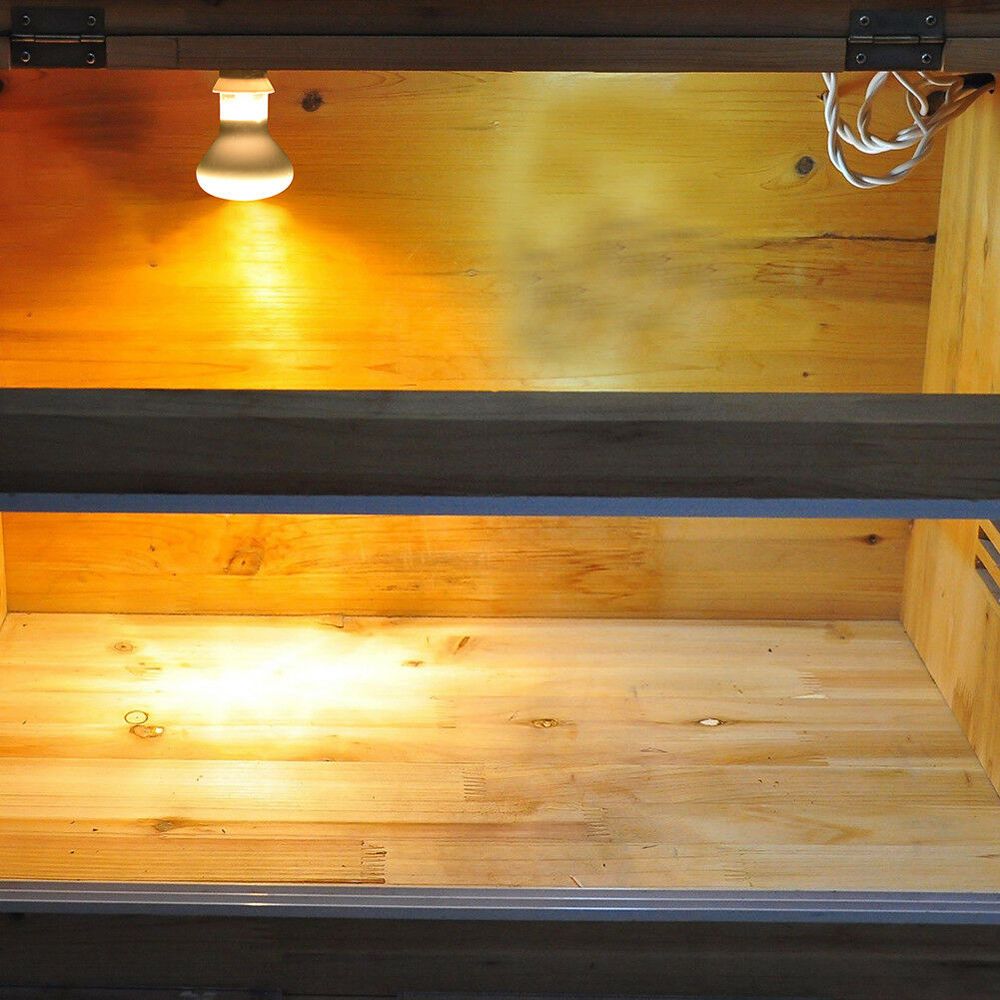 جهاز تحكم في درجة حرارة سخان ا - مراجعة Basking Bulb Halogen وسعره