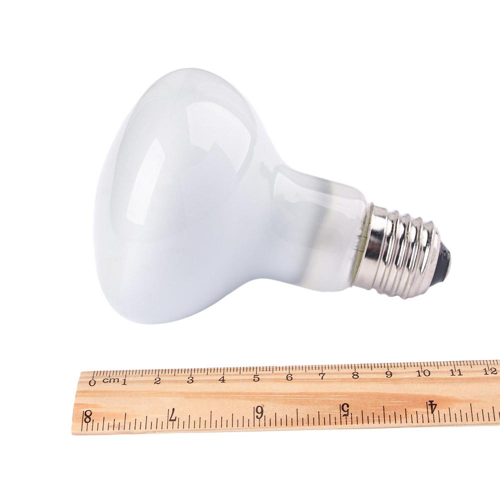 جهاز تحكم في درجة حرارة سخان ا - مراجعة Basking Bulb Halogen وسعره