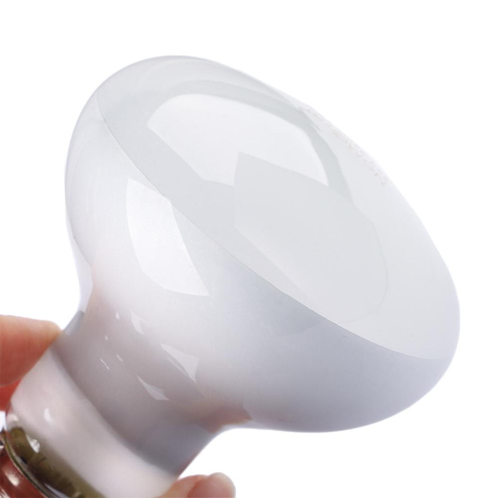 مصباح حراري للسلاحف، إضاءة هال - مراجعة Basking Bulb Halogen وسعره