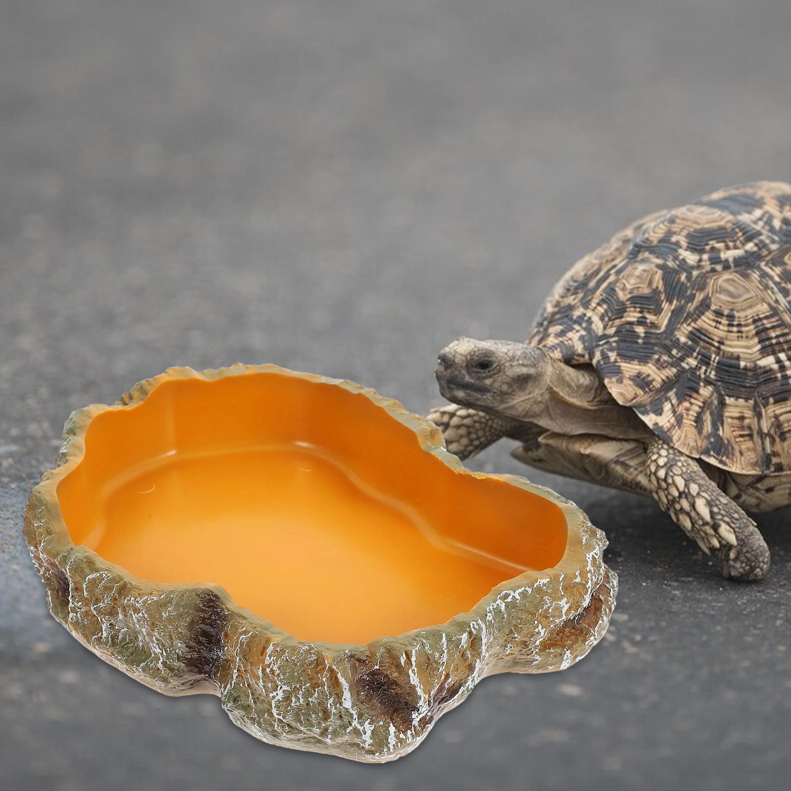 إكسسوارات حوض الزواحف، طبق طعا - مراجعة Water Dish Reptile وسعره