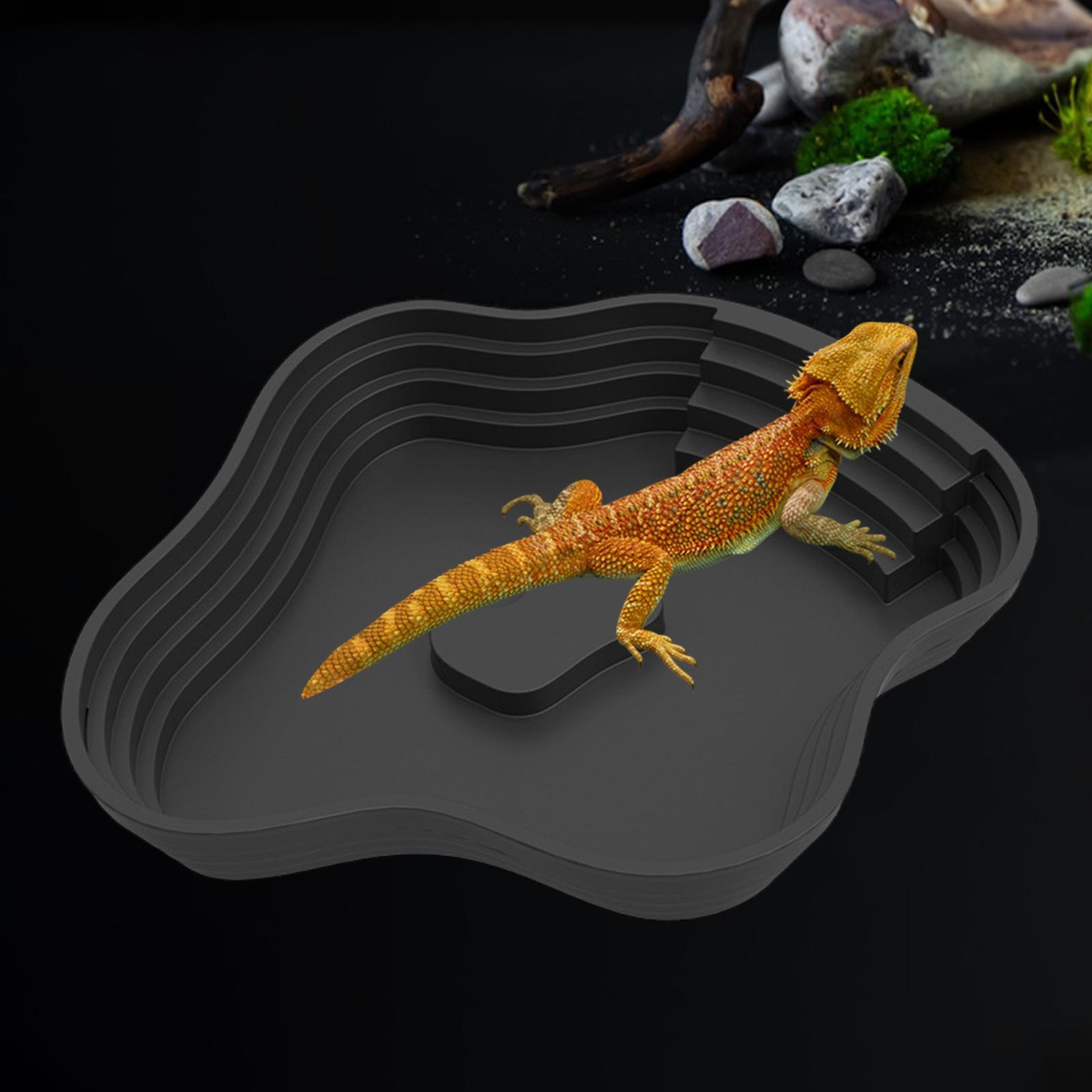 أحواض استحمام للزواحف، وعاء لل - مراجعة Water Dish Reptile وسعره